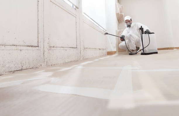 24/7 Emergency Mold Remediation experts in Maplewood, NJ